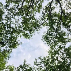 Meet your Posher, Finley